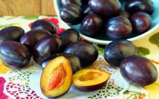 Anggur prem do-it-yourself - produk alami dan lezat